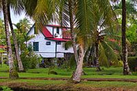 Ancienne maison de police parmi les arbres de la plantation de Frederiksdorp