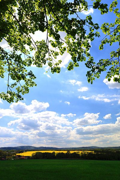 Upper Lusatia in May by Thomas Jäger