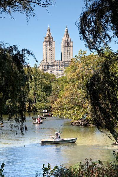 Nostalgische duiker in Central Park, New York par Arie Storm