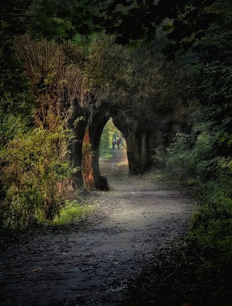 Der erleuchtete Pfad von Maickel Dedeken