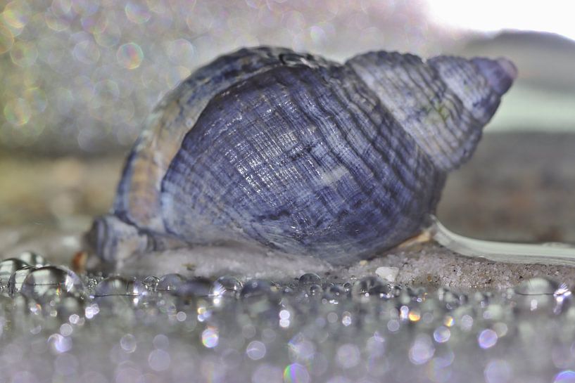 Reflexion von Wellhornwasser von Monique Visser