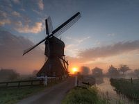 Large Buckets - Langerak