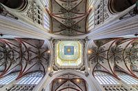 Die St. Johannes-Kathedrale in Den Bosch