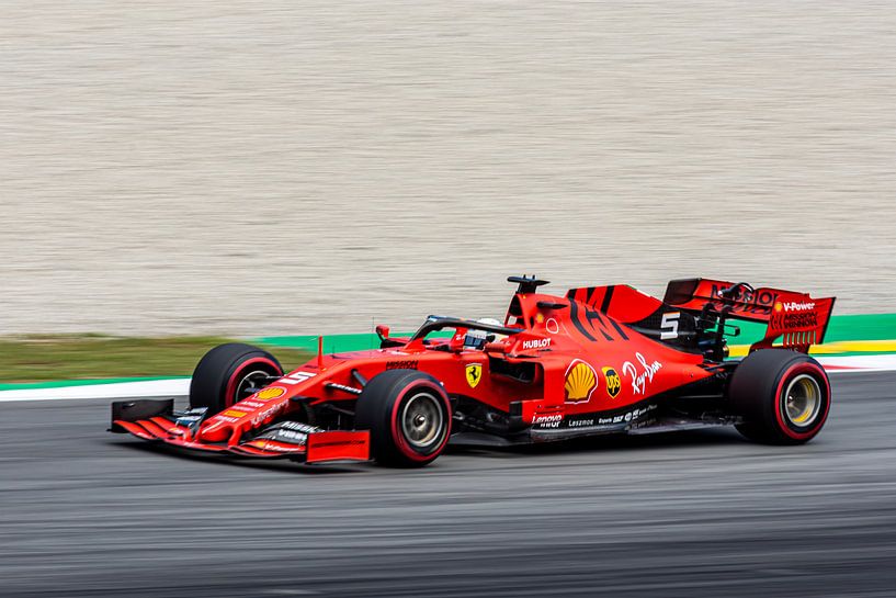 Sebastian Vettel van Erik Noort