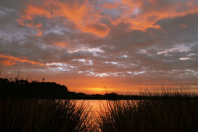 Guten Morgen. von Frank Tauran