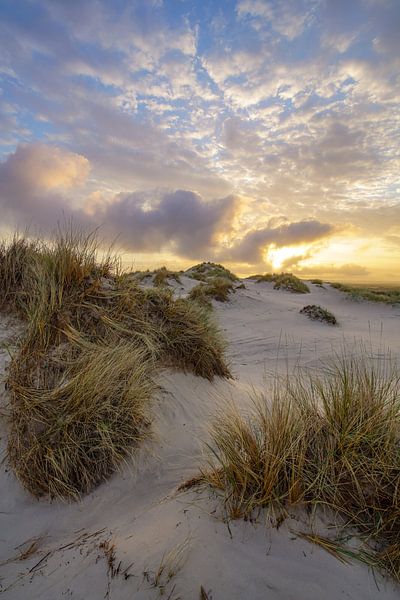 Terschelling und die schöne Natur von De Boschplaat von Dirk van Egmond