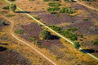Die Hoorneboeg-Heide aus der Luft [03]