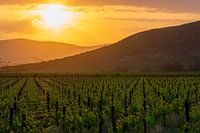 Photos taken during our three-week tour of South Africa