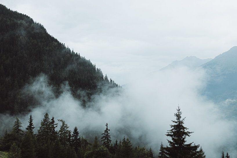 Nebliger Morgen in den Bergen / Valfréjus in Frankreich / Drucken von Arnout  van Nieuwkoop
