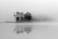 Island in the mist