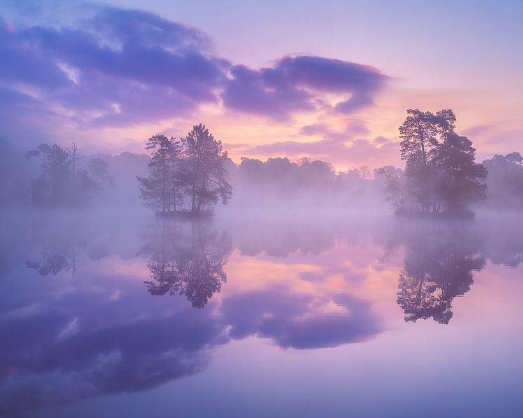 Oisterwijkse Vennen, neblig und lila von Robin Gooijers | Fotografie