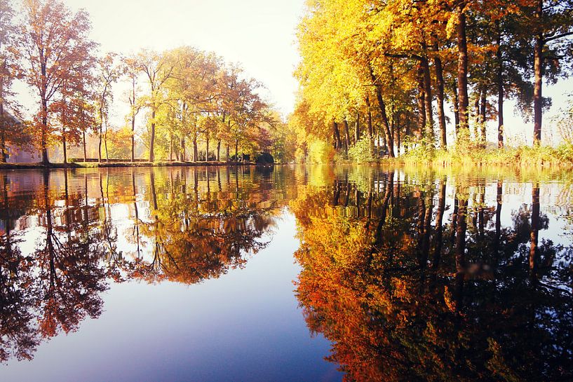 reflections...  von Els Fonteine