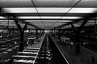 Rotterdam, C.S. insight