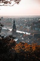 Kirche der Stadt Heidelberg