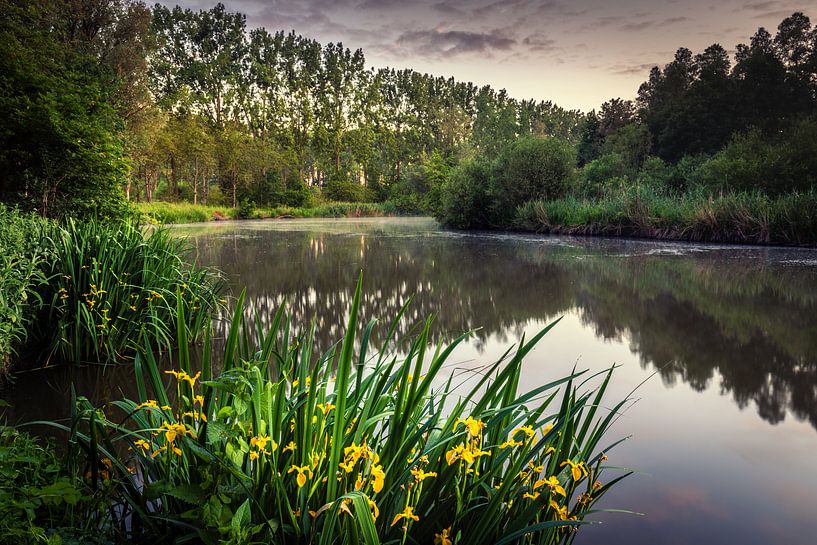 Am See von Wim van D