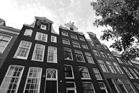Maisons de canal sur Reguliersgracht à Amsterdam | noir et blanc