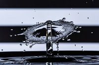 Parapluie d'eau noir blanc