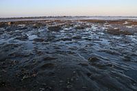 Moddergat, Waddenzee