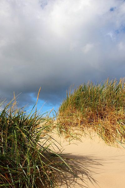 Schattenspiel in den Herbstdünen von Ostsee Bilder