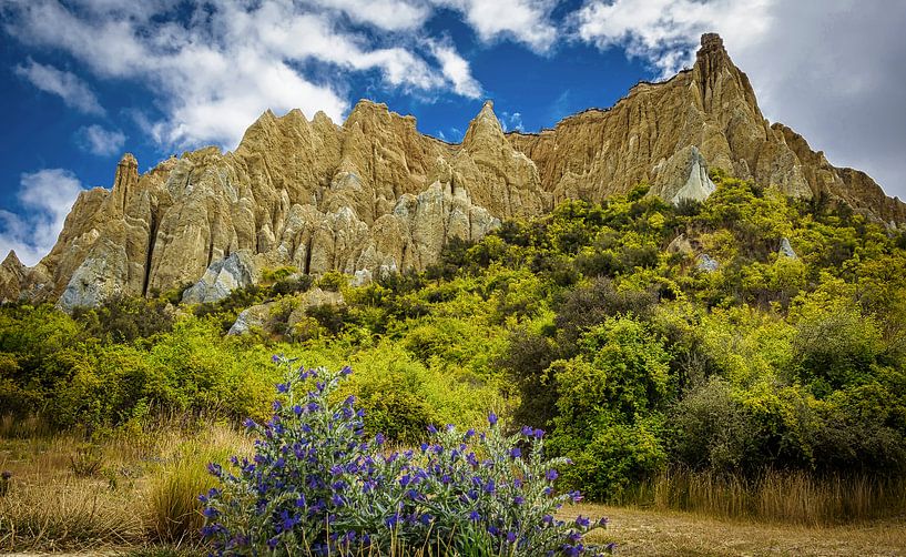 Clay Cliffs, Omarama, New Zealand by Rietje Bulthuis