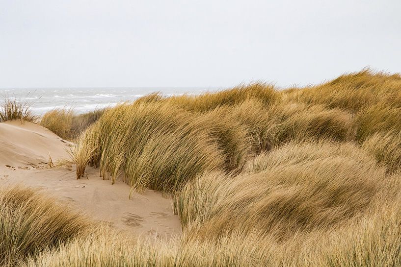 Dunes par Anna Thiessen