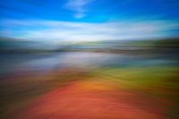 Une période mouvementée dans la forêt de montagne