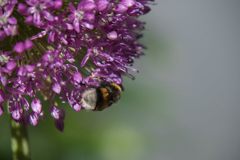 Zeit für das Abendessen von JacQ