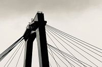 Willemsbrug Rotterdam