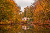 Zypendaal in de herfst
