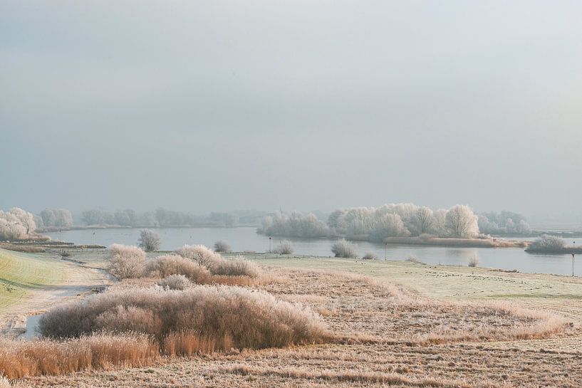 Winterlandschaft im Flussdelta der IJssel bei Kampen von Sjoerd van der Wal Fotografie