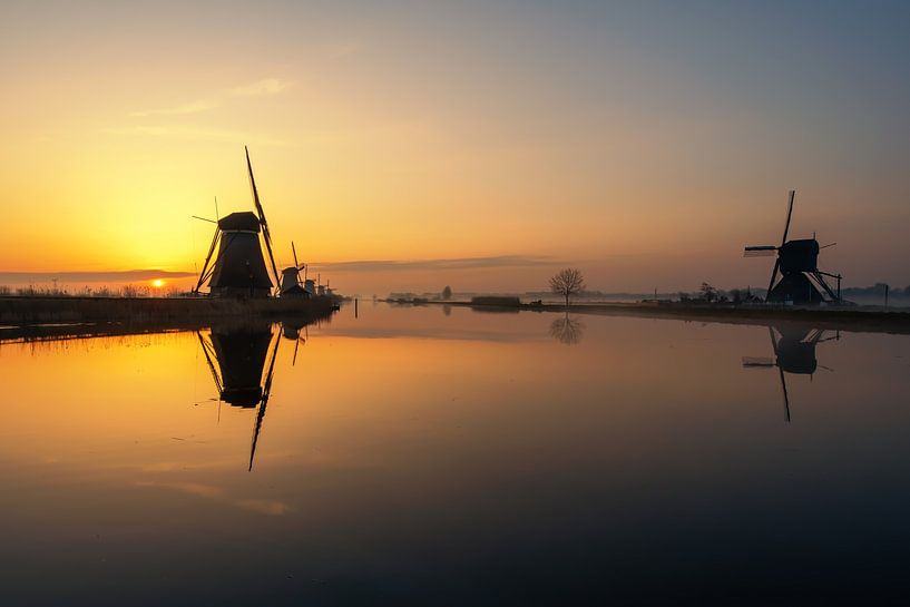 Windmills in the morning by Maikel Brands