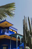 Yves Saint Laurent's garden, Jardin Majorelle, in Marrakech, Morocco.