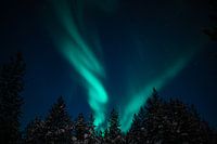 Northern lights