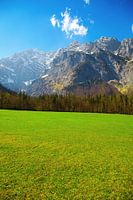 Alpen