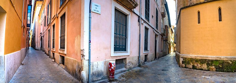 Panorama city view of narrow streets at the old town of Palma de Majorca, Spain by Alex Winter