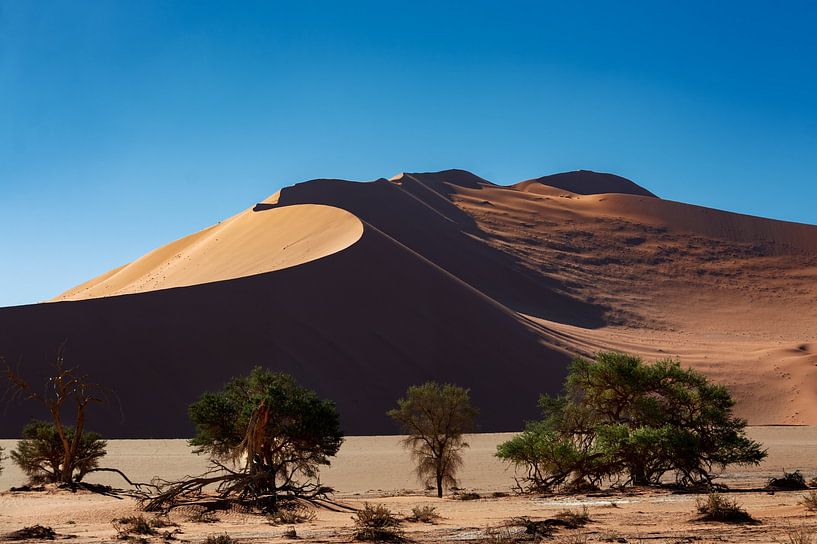 Dunes par Alex Neumayer