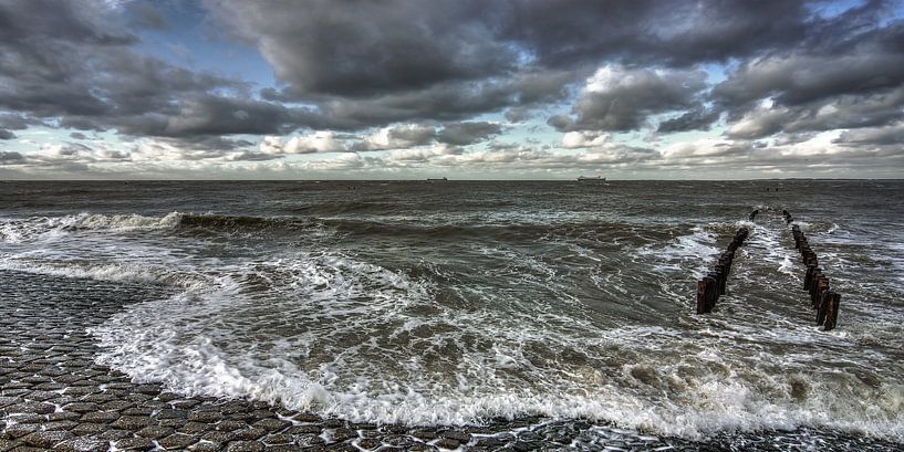 Hochwasser von Mario de Lijser