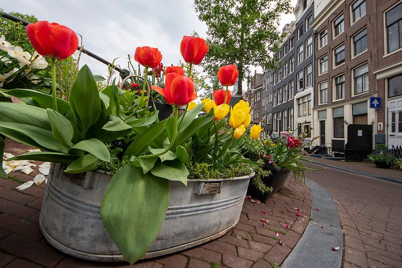 Flower power by Peter Bartelings