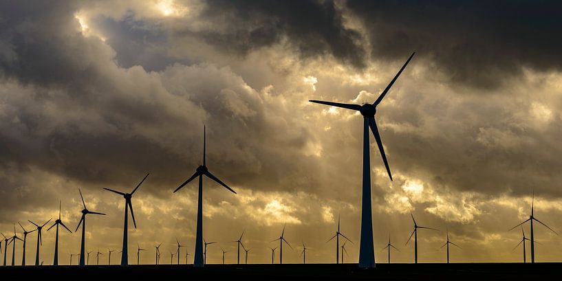 Wind park with rows of wind turbines during sunset by Sjoerd van der Wal Photography