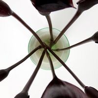 Vase du dessus (#6, vase d'IKEA)