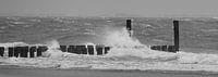 Breakwaters with splashing water on Dutch coast black and white