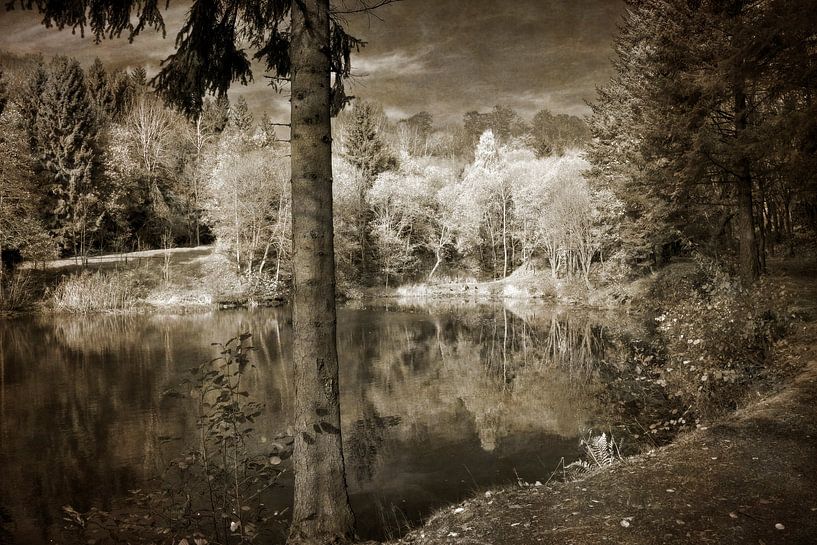 By the lake by Claudia Evans