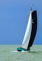 Skutsje van Lemmer op het IJsselmeer