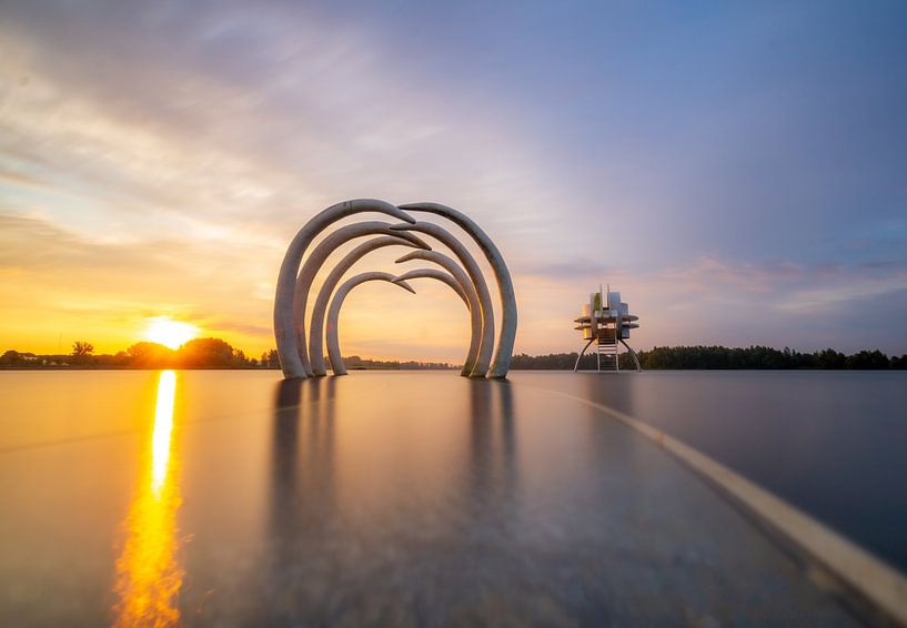 Le soleil levant à la ligne du temps par Daniëlle Langelaar Photography
