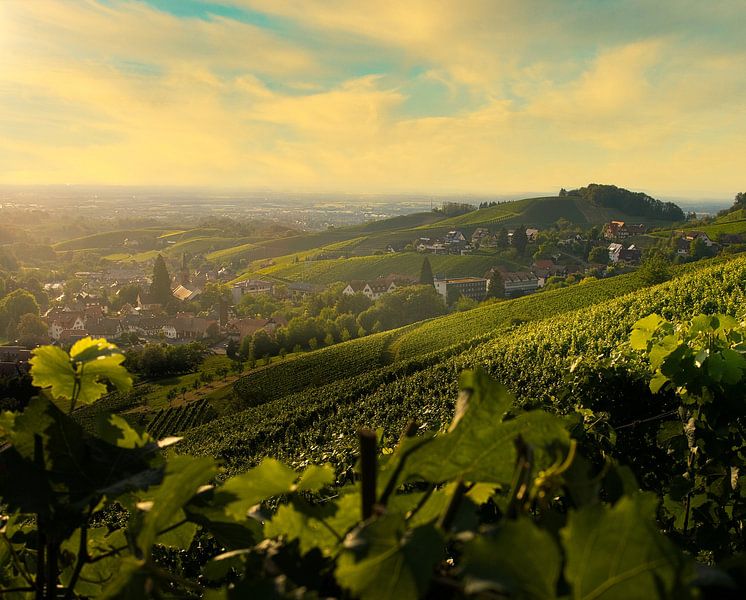 Black Forest, Sasbachwalden by Eric Götze Fotografie