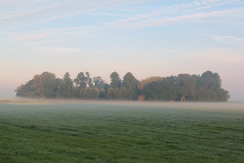 Landschaft von Sander Maas