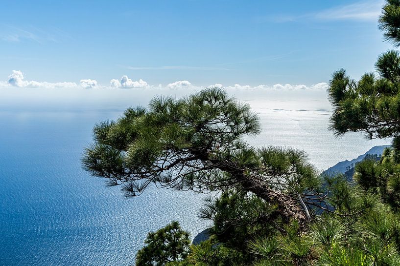 El Hierro, schöne, aber unbekannte spanische Kanareninsel von Marjolein Zijlstra
