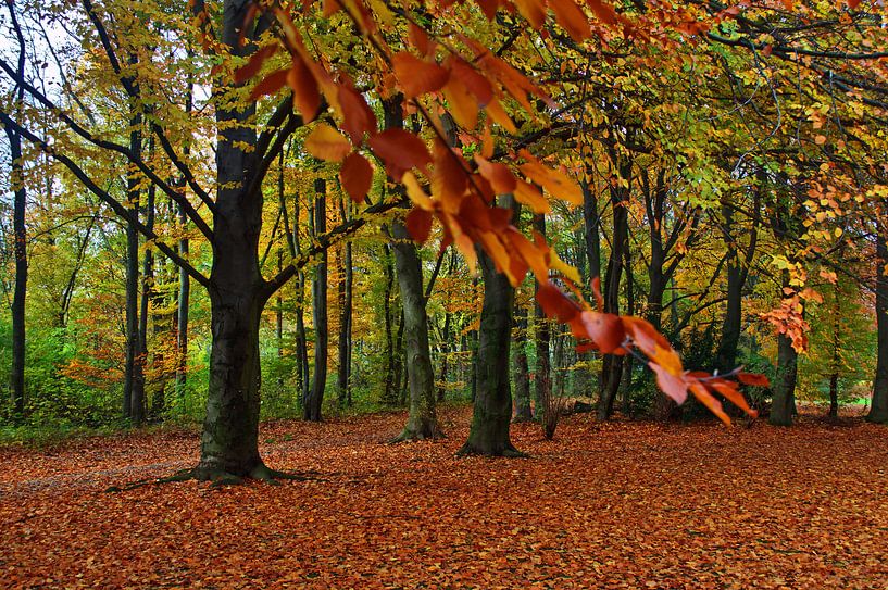 Feuillage 16 par Edgar Schermaul