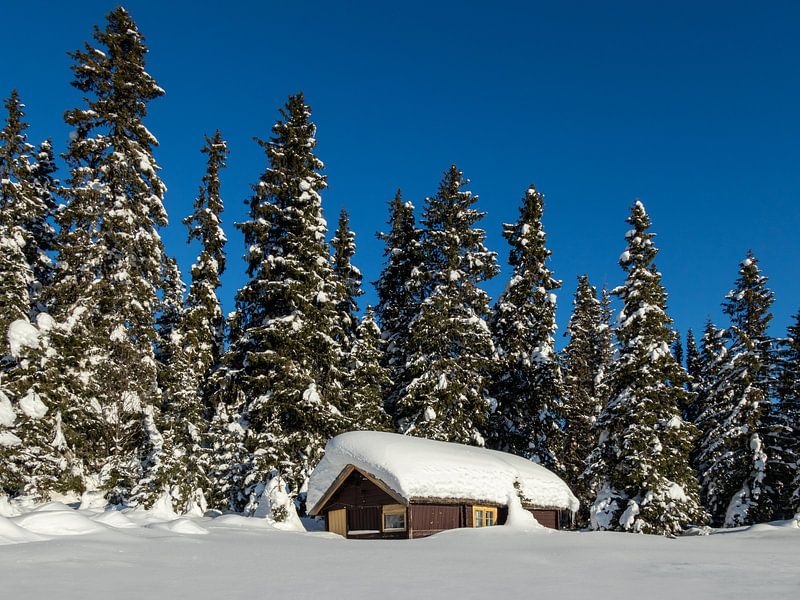 Winter in Norwegen von Adelheid Smitt