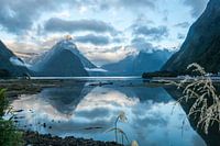 Milford Sound